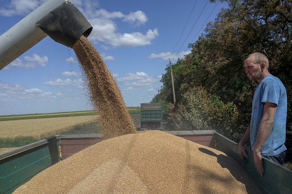 Du blé récolté près de Mykolaïv, le 21 juillet 2022. Photo de BULENT KILIC / AFP via Getty Images.
