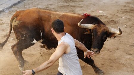 Lâchers de taureaux en Espagne : trois personnes mortes encornées, dont un Français