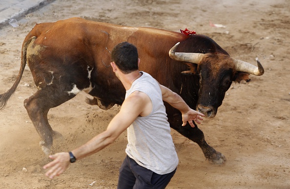 Lâchers de taureaux à Valence en Espagne.     (Photo : JOSE JORDAN/AFP via Getty Images)