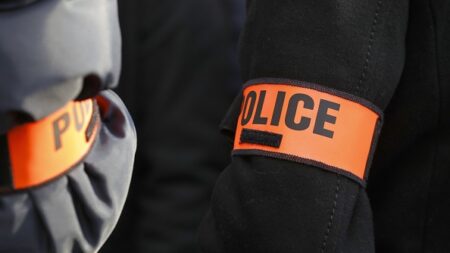 IPGN : la magistrate Agnès Thibault-Lecuivre nommée à la tête de la « police des polices »