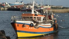 Prix des carburants : l’aide pour les pêcheurs prolongée jusqu’au 30 septembre