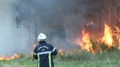 Incendies en Gironde : la « thèse criminelle privilégiée » pour l’un des deux feux, annonce le parquet de Bordeaux