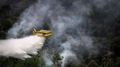 Un bombardier d’eau qui combattait les feux de forêt s’est écrasé au Portugal, provoquant la mort du pilote
