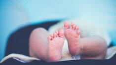 Pyrénées-Atlantiques : un bébé de 14 mois découvert sans vie oublié dans la voiture de son père