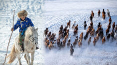 Un photographe capture des gardiens de troupeaux en Mongolie et dévoile leur incroyable habileté pour rassembler les chevaux