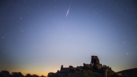Deux pluies de météores convergeront pour un spectacle lumineux dans le ciel nocturne à la fin de l’été – ce qu’il faut savoir