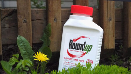 Roundup: la firme Monsanto condamnée à verser plus de 2 milliards de dollars à un homme atteint d’un cancer