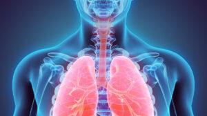 Comment améliorer la fonction pulmonaire : 3 façons et 4 exercices simples