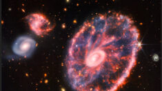 Nasa : le télescope James Webb dévoile une superbe photo d’une nouvelle galaxie