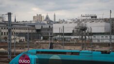Cafards, clim en panne, toilettes hors service… l’insalubrité d’un TGV Ouigo Lyon-Paris dénoncée
