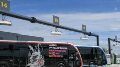 À Amiens, la municipalité a acheté 10 bus diesel pour remplacer les bus électriques défectueux