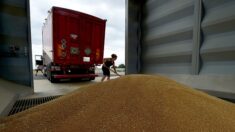Somme: enseveli par 6500 tonnes de blé, le salarié d’une coopérative agricole décède