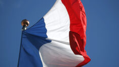 Traité de «facho» et de «raciste» pour avoir affiché le drapeau français dans sa salle de sport, le YouTubeur Tibo InShape s’explique