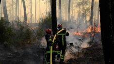 Incendies dans les Ardennes : un jeune homme écope huit mois avec sursis pour avoir déclenché volontairement un feu