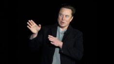 Si une condition clé est remplie, Musk pourrait relancer l’accord avec Twitter