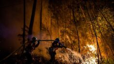 Début d’accalmie sur les incendies, fin de canicule et pluie en vue