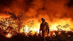 Italie, Allemagne, Grèce… la France reçoit l’aide des pays européens pour lutter contre les incendies