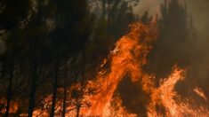 Reprises d’incendies près de Landiras en Gironde : 6.000 hectares brûlés, des milliers de personnes évacuées