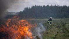 Côte-d’Or: un pyromane interpellé, il reconnaît avoir allumé 19 incendies