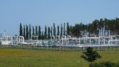 Le russe Gazprom met fin à ses livraisons de gaz à la France