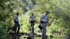 «On a une rivière qui meurt»: le président de la fédération de pêche de la Dordogne alerte sur la sécheresse et la gestion de l’eau