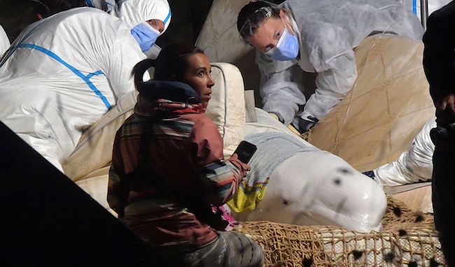 L'état du béluga s'était dégradé pendant le transport et souffrait d'une grave insuffisance respiratoire. (Photo : JEAN-FRANCOIS MONIER/AFP via Getty Images)