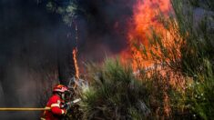 Incendies au Portugal et en Espagne : des milliers d’hectares de forêt ravagés par les flammes, des personnes évacuées