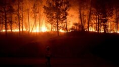 Le Portugal peine à venir à bout du feu dans un parc naturel