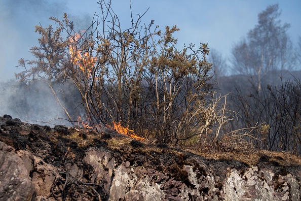 L'incendie dans la forêt de Brocéliande en Bretagne est désormais fixé. (Photo : FRED TANNEAU/AFP via Getty Images)