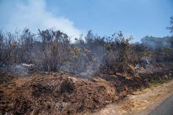 Incendie dans la forêt de Brocéliande, à l'ouest de Rennes. (FRED TANNEAU/AFP via Getty Images)