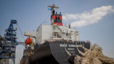 Ukraine: départ du premier navire de l’ONU chargé de céréales pour l’Afrique