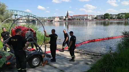 Pologne: au bord de l’Oder, des poissons morts et la détresse des entrepreneurs