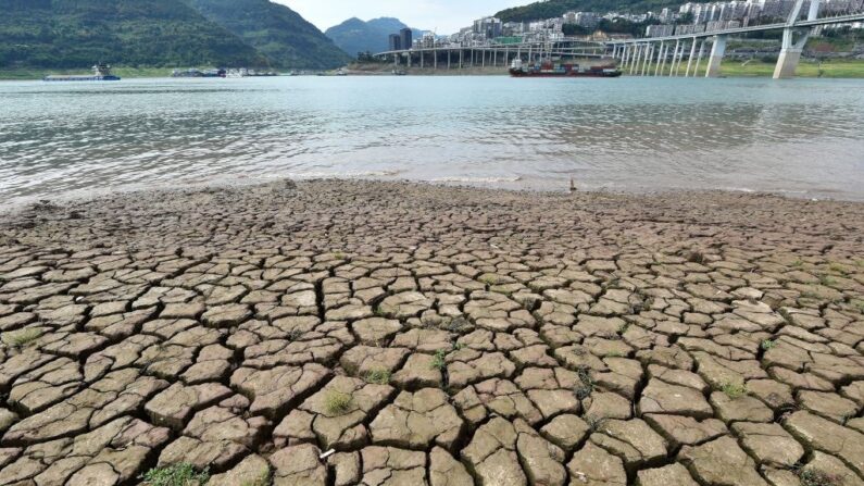 Photo prise le 16 août 2022, montre une section de rivière desséchée le long du fleuve Yangtze, à Chongqing, dans le sud-ouest de la Chine.(Crédit photo STR/AFP via Getty Images)