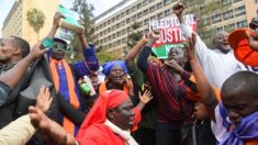 Kenya: la Cour Suprême, une institution « robuste » face aux tempêtes électorales