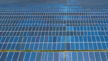 Projet de parc photovoltaïque dans le Var: une aberration écologique, dénoncent les habitants de La Motte