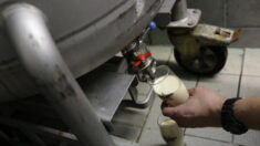 Un brasseur du Var utilise du pain invendu dans la fabrication de sa bière, pour lui «donner une seconde vie»