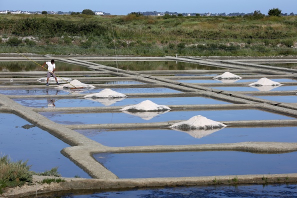 À Guérande (Loire-Atlantique), la saison 2022 de la récolte du sel s'avère exceptionnelle. (LUDOVIC MARIN/AFP via Getty Images)
