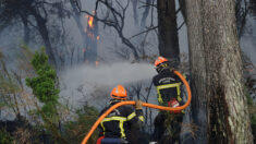 Incendies :  Orange, Carrefour, EDF et GRDF « libèrent » leurs salariés pompiers volontaires