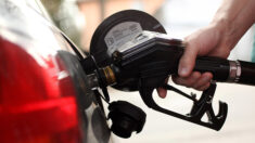Chute des prix des carburants dans le sillage du pétrole