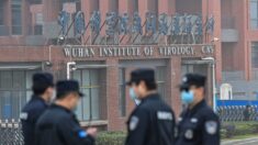 Une université américaine admet que son protocole d’accord avec l’Institut de virologie Wuhan enfreint peut-être la loi