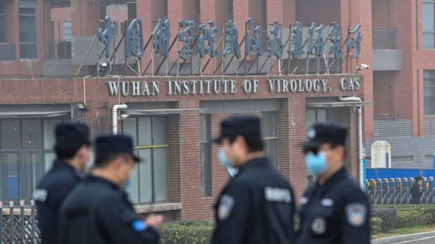 Le Canada a envoyé le virus Nipah à Wuhan: le WIV menait les «travaux les plus dangereux jamais vus» témoigne un chercheur devant le Sénat américain