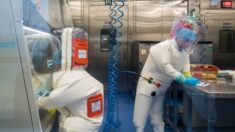 Un spécialiste témoigne lors d’une audition au Sénat américain: le laboratoire de Wuhan manipulait génétiquement le virus mortel Nipah