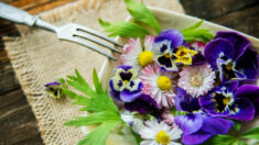 Manger des fleurs: 9 fleurs délicieuses et bonnes pour la santé