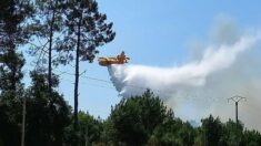 Incendies en Gironde: l’hippodrome de La Teste reverse sa recette aux pompiers lors de sa journée de réouverture