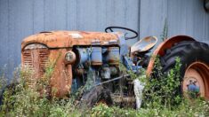 «C’est toute sa vie»: l’homme aux 300 tracteurs et sa collection unique en France