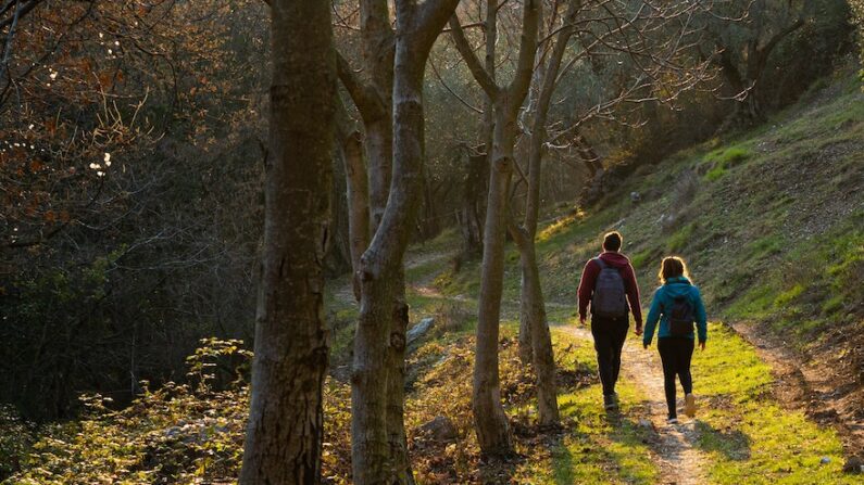 Vous avez peut-être besoin de faire une promenade dans la nature. (Simone Tabarini/Shutterstock)