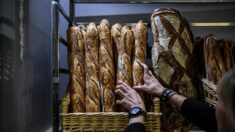 Prix du pain: une envolée de 18% sur un an dans l’Union européenne