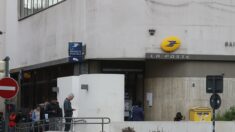 Marseille: La Poste renonce à distribuer le courrier dans le quartier de la Bricarde, en raison d’une trop grande insécurité