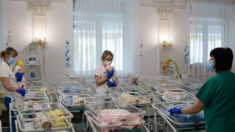 Invasion de l’Ukraine : les mères porteuses et les bébés issus de GPA en danger