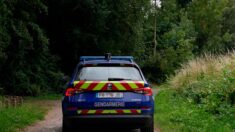 Yonne: porté disparu, un homme de 63 ans est retrouvé grâce à un appel à témoins